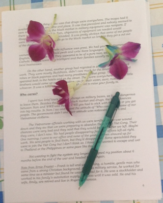 Orchidpenwriting Review writing