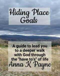 Hiding Place Goals Affirmations Journal