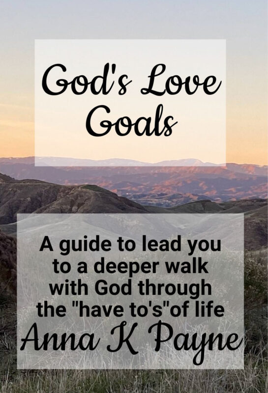 God’s Love Goals Affirmation Journal