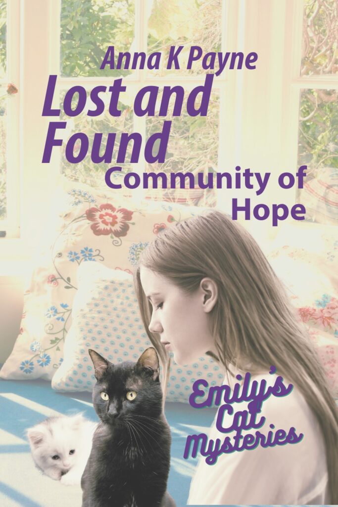 Introducing Lost and Found: Community of Hope