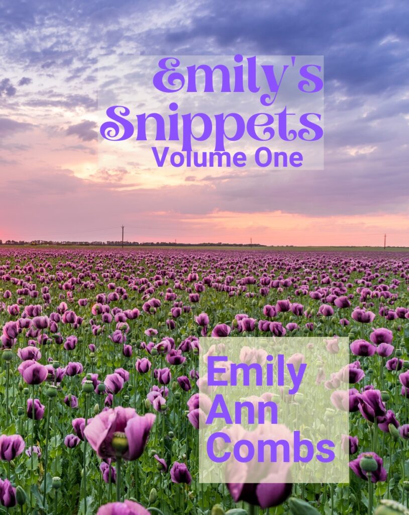 Introducing Emily’s Snippets Volume One