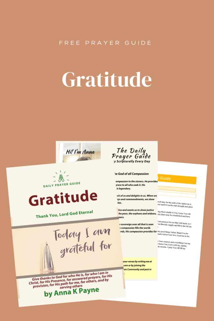 Gratitude Daily Prayer Guide