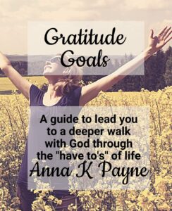 Gratitude Goals Affirmations Journal