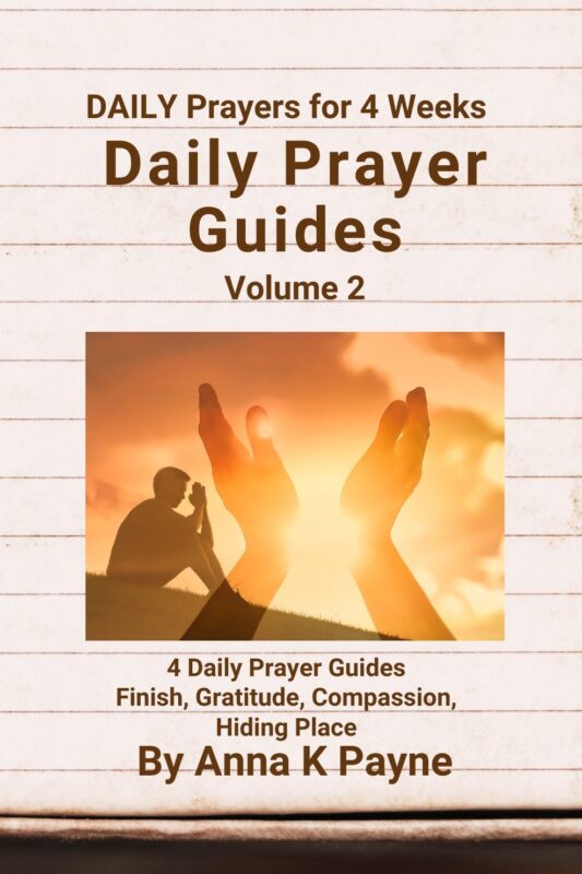 Daily Prayer Guides Volume 2