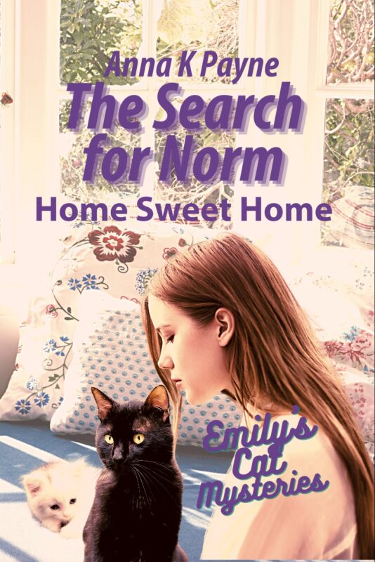 The Search for Norm: Home Sweet Home