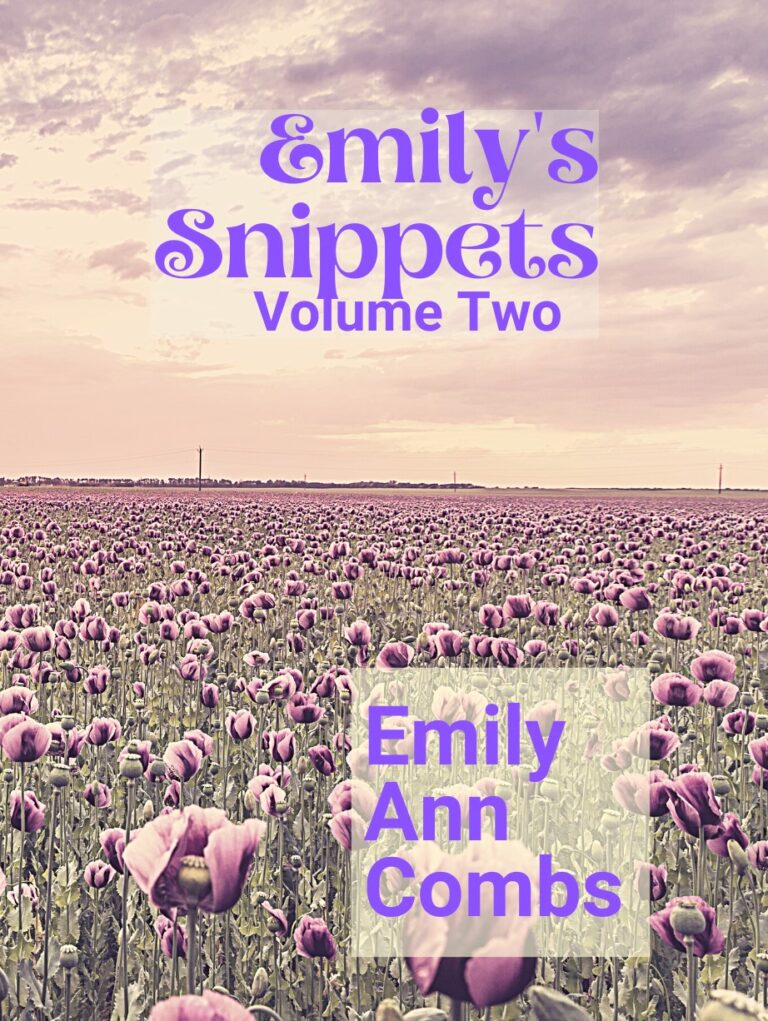 Emily's Snippets: Volume Two