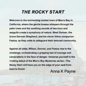 Back blurb for The Rocky Start