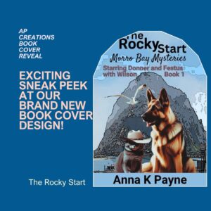 Cover Reveal The Rocky Start