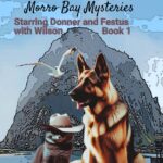 The Rocky Start Book 1 Morro Bay Mysteries