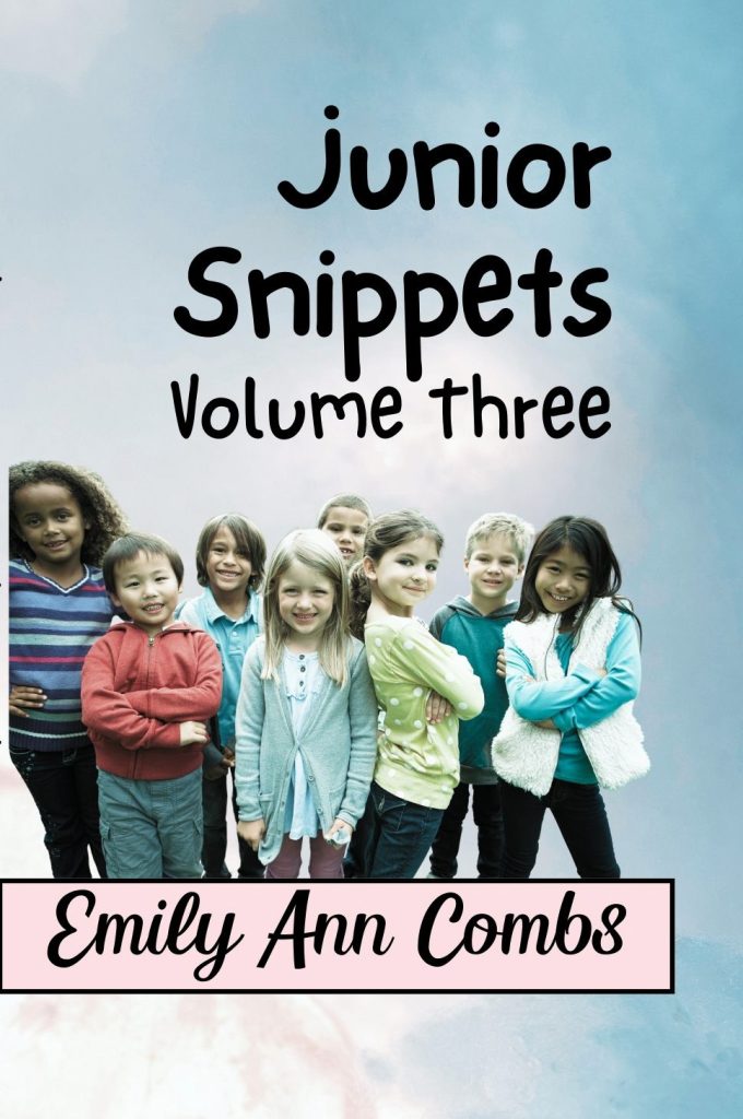 Junior Snippets Volume Three Emily Combs