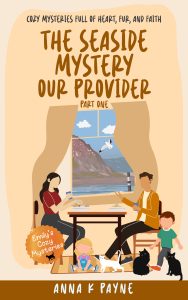 The Seaside Mystery: Our Provider
